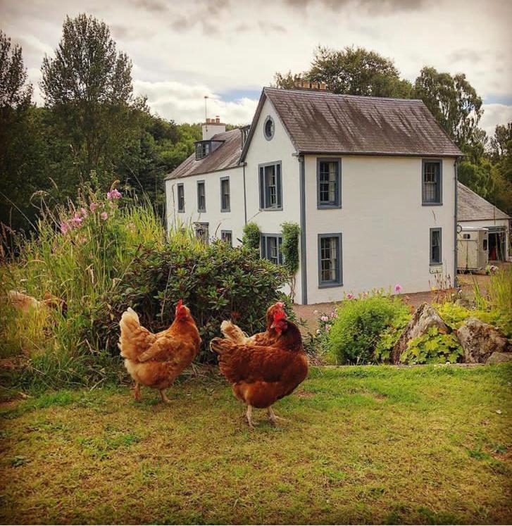 Bedrule Old Manse B&B Hawick Extérieur photo